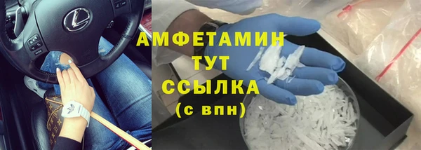 сатива Инсар