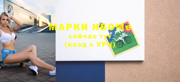 сатива Инсар