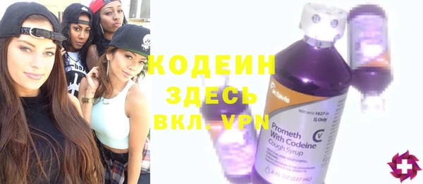 сатива Инсар