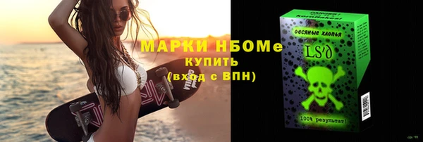 сатива Инсар