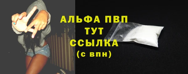 сатива Инсар