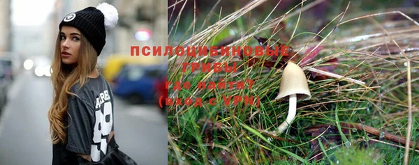 сатива Инсар
