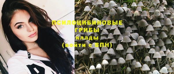 молекула духа Иннополис