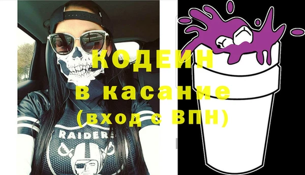 сатива Инсар