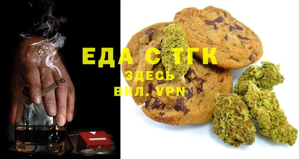сатива Инсар