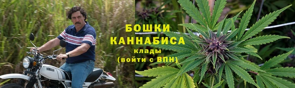сатива Инсар