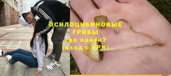 молекула духа Иннополис