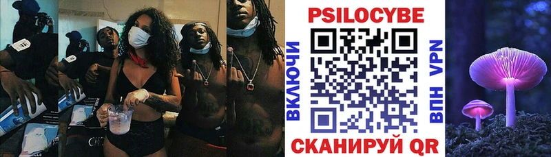 Купить где  Бирск  Галлюциногенные грибы Psilocybe 